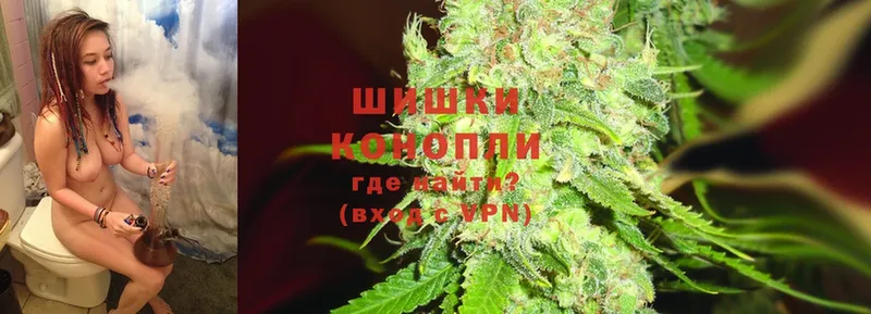 Шишки марихуана SATIVA & INDICA  где найти   Славянск-на-Кубани 